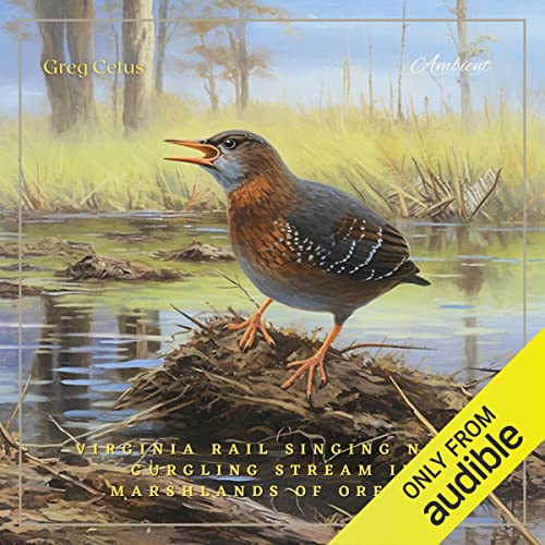 Virginia Rail Singing Near Gurgling Stream in Marshlands of Oregon by Greg Cetus episode artwork