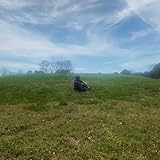  LaserDisc [Explicit]