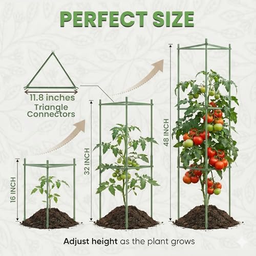 Tomato Cage - Large Trellis Stakes and Plant Support Structures for Vegetables and Climbing Plants - Tall Tomato Cages for Garden, Pots, Raised Garden Bed Outdoor Supplies (6 Pack - Up to 48") by K-Brands - Image 5