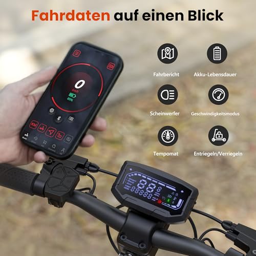 Doppelmotor E Scooter mit Straßenzulassung Max 80KM Reichweite,10 Zoll Offroad Reifen Elektroroller Erwachsene 48V 15Ah E-Roller mit Sechs komfortable Stoßdämpfer für Erwachsene bis 150 kg