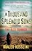 2 Book Set : The Kite Runner + A Thousand Splendid Suns (Kite Runner)