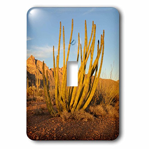 Cubierta para interruptor de luz 3dRose lsp_229718_1 placa decorativa pared 2
