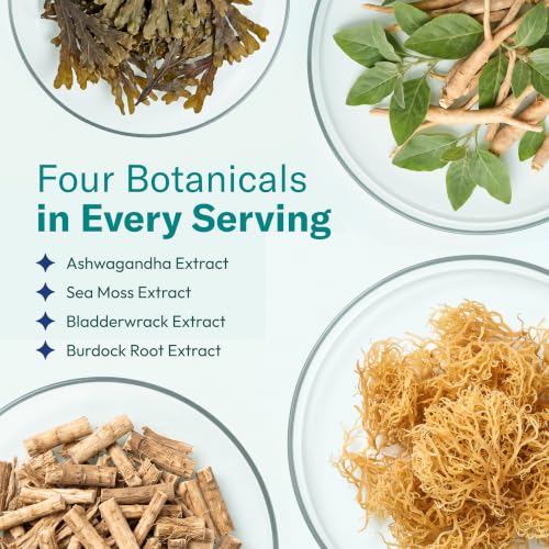 View 4