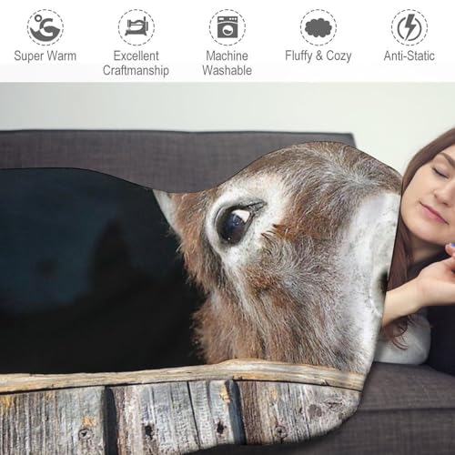 Couverture ronde flanelle Funny Donkey pliable pour canapé et bureau