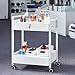 VEVOR Lab Cart, 2 Tiers Stainless Steel Utility Cart, Medical Cart with 2 Drawers, Rolling Lab Cart White Paint, Serving Cart with Swivel Casters for Laboratory, Hospital, Dental, Salon and Beauty