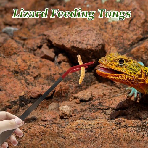 Image of Reptile Feeding Tongs, Stainless Steel Lizard Feeding Tongs, Aquarium Curved Feeding Tweezers for Reptiles with Rubber Tip, Terrarium Feeding Tongs for Gecko, 14.96 inch Length, Red