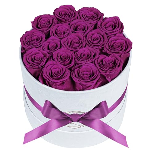 17 Flowers in a Luxury Suede Box, Birthday Gifts for Women, Preserved Flowers, Mothers Day Roses Gift for Mom, Bossy Pink