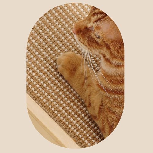 Tapis à griffes pour chat pour stopper les griffures sur les canapés - 5
