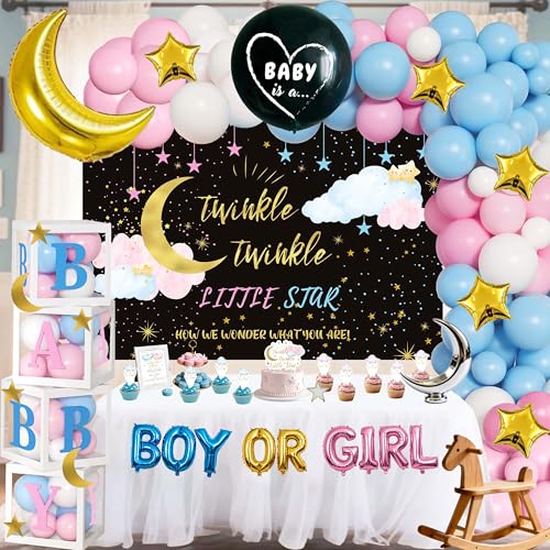 Twinkle Twinkle Little Star Gender Reveal Decorations - Moon and Star Theme Party Supplies Include Balloon Garland Arch Backdrop 4 Boxes Boy or Girl Foil Balloons - How We Wonder What You Are