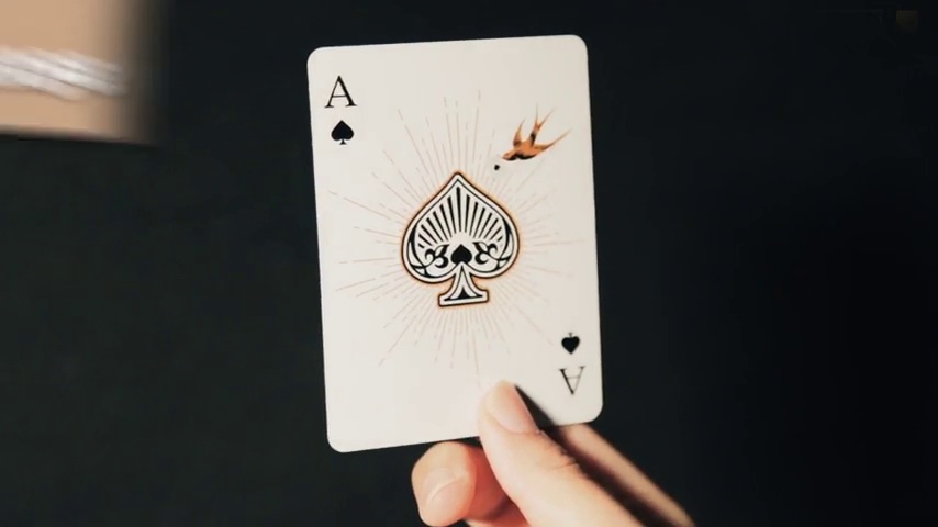Amazon.com: Mr. Sci Science Factory 3D Magic Playing Poker Cards