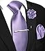 JEMYGINS Formal Necktie Lavender Tie and Pocket Square with Tie Clip Lapel Pin Sets for Men(32)