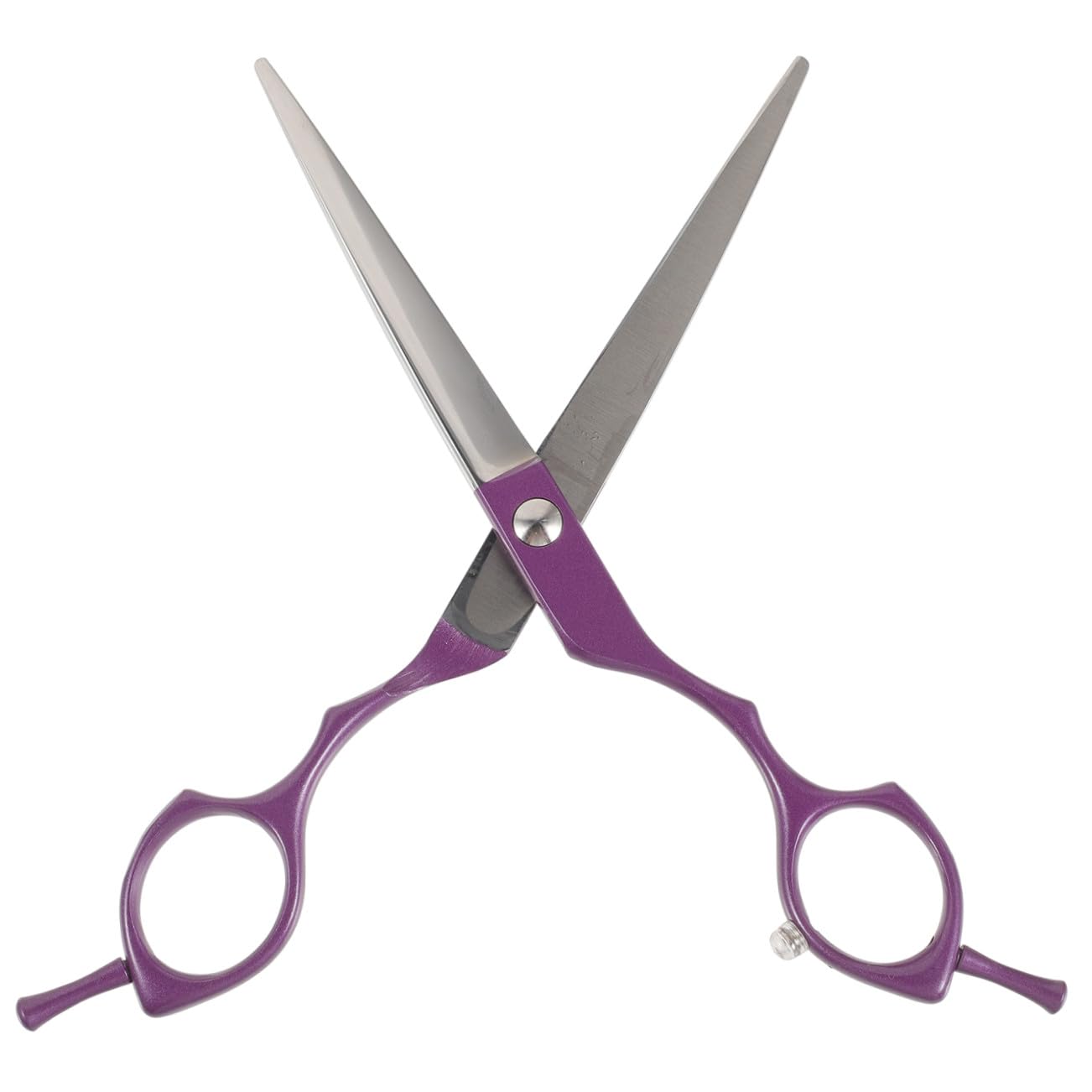 Didiseaon Tijeras de 6.5 Pulgadas de Acero Inoxidable de Corte de Pelo Agarre Cómodo y Superficie Lisa Profesionales para Salón de Peluquería