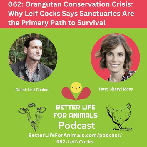 062: Orangutan Conservation Crisis: Why Leif Cocks Says Sanctuaries Are the Primary Path to Survival