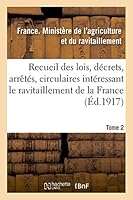 Recueil des lois, décrets, arrêtés, circulaires, rapports. T. 2, 1er septembre 1917-1er avril 1918 (Sciences Sociales) 2013412649 Book Cover