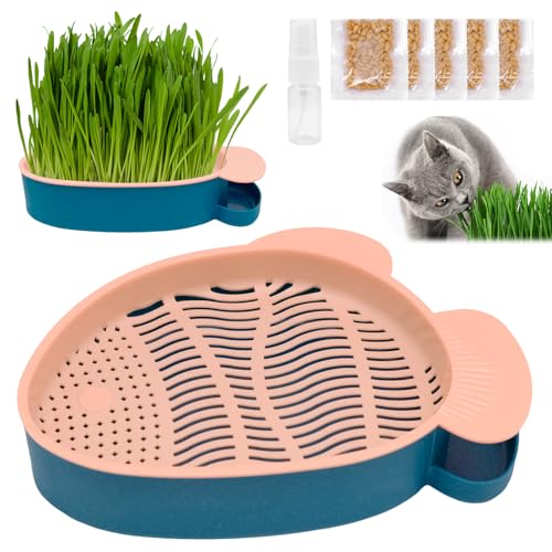 Fioriera Idroponica Per Erba Gatta,Ciotola per germinazione per gatti,set di piante per gatti,ciotole per erba per gatti,piante idroponiche,mangiatoia con erba per gatti, adatto per erba dei gatti