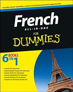 French All-in-One For Dummies cover image