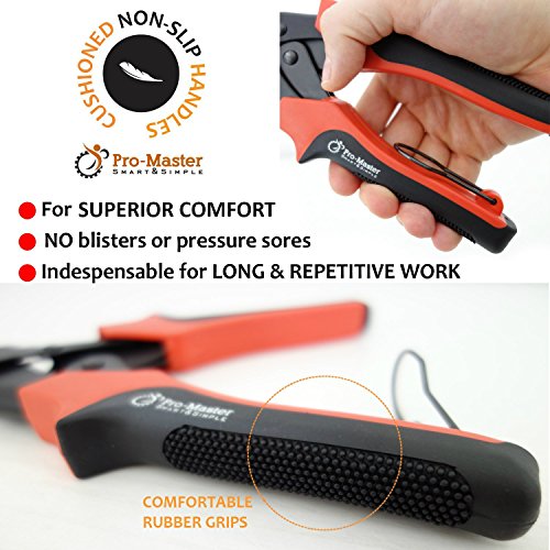 https://m.media-amazon.com/images/I/51RecDFRDPL._SL500_.jpg
