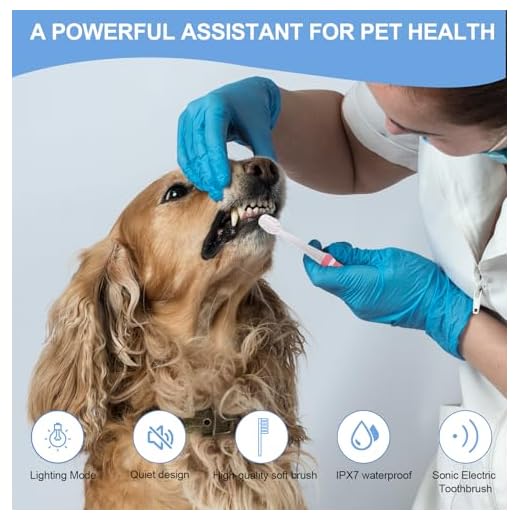 Elektrische Zahnbürste für kleine Haustiere