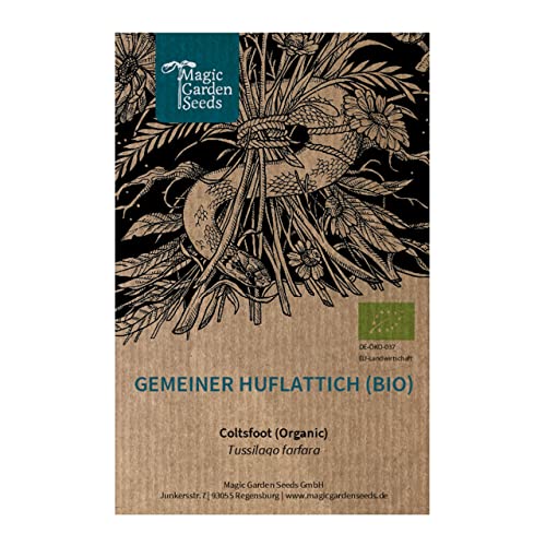 Gemeiner Huflattich (Tussilago farfara) Bio - ca. 950 Samen