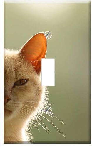 Switch Plate Single Toggle - The Field Nature India Quindio Colombia 1