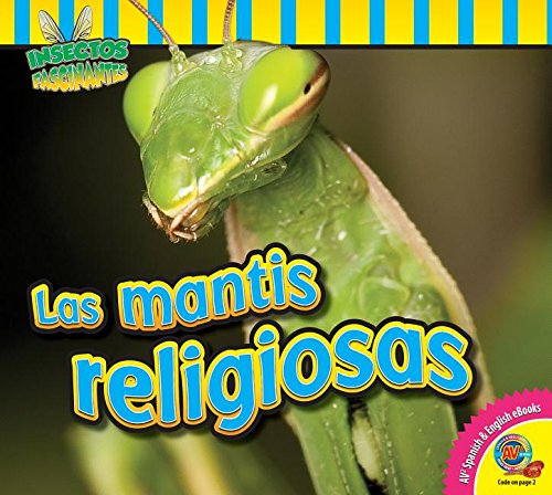 Las Mantis Religiosas (Insectos Fascinantes) : Carr, Aaron: Amazon.es ...
