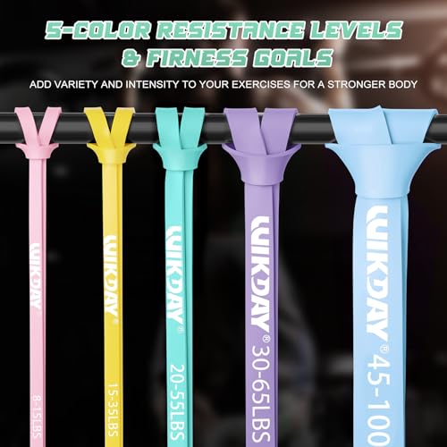 Image of WIKDAY Resistance Bands, Pull Up Bands, Workout Bands for Exercise, Thick Heavy Resistance Band Set with Door Anchor, Elastic Bands for Body Stretching, Training at Home /Gym for Men & Women