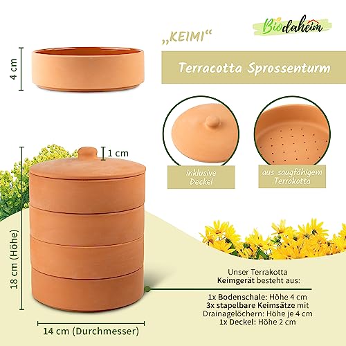Biodaheim Sprossenturm aus Ton, Keimsprossenbox Set 3 Etagen, Ideales Keimgerät für Anzucht von Sprossen & Kresse, Effizienter als Keimglas, Terrakotta Anzuchtschale für gesundes Keimgrün – Bild 3
