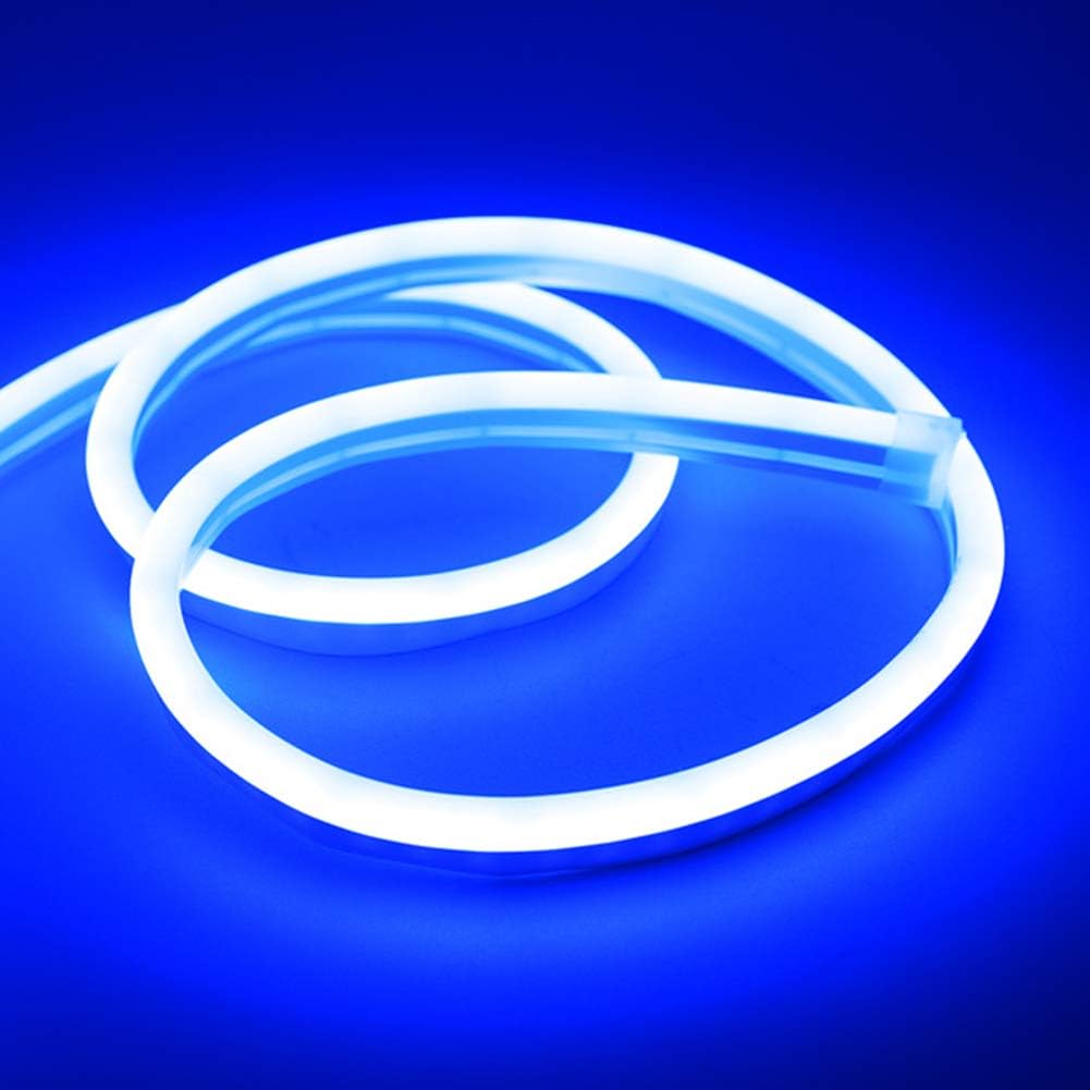 conobo 16.4Ft/ 5M LED Neon Rope Light, 12V DC 600 SMD2835 LEDs Waterproof Flexible LED Neon Light, for Indoors Outdoors Decor Commercial Building Decor (BLUE)