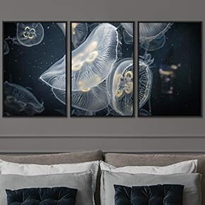 signwin 3 Piece Framed Canvas Wall Art Colorful...
