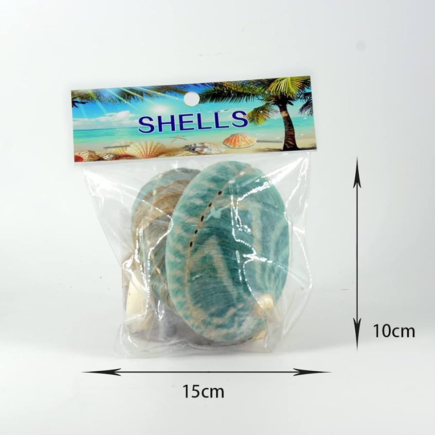 Amazon｜アワビの貝殻 天然あわびの貝殻 オーストラリアグリーン