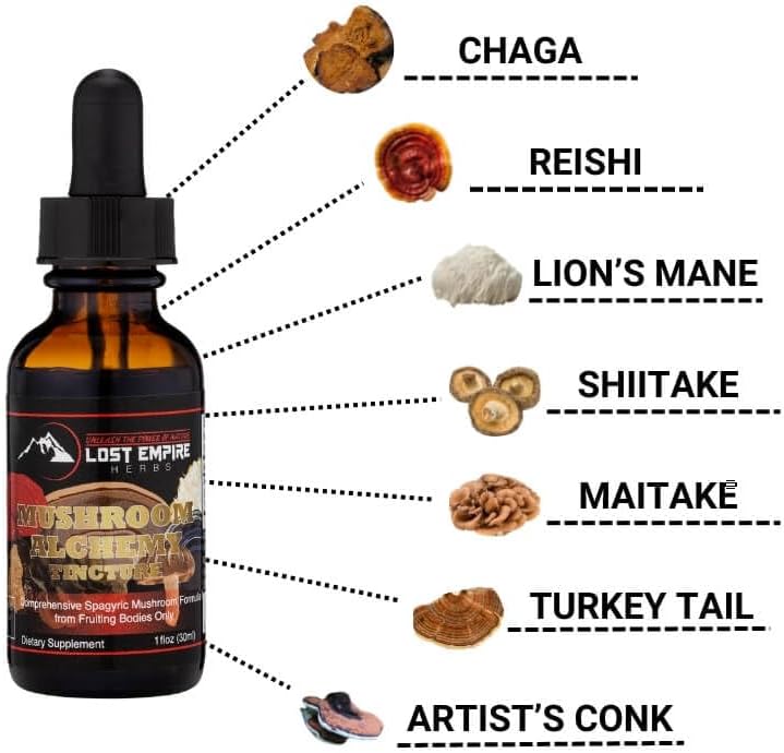 Miniatura 2 de Lost Empire Herbs Mushroom Alchemy - Mezcla de tintura espagírica de 7 hongos medicinales - Reishi, cola de pavo, Maitake, Shiitake, melena de león,