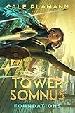 Foundations: A LitRPG Adventure (Tower of Somnus Book 1)