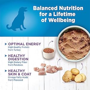  Wellness-Simple-Natural-Wet-Canned-Limited-Ingredient-Dog-Food-Turkey-Potato-125-Ounce-Can-Pack-of-12
