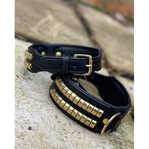 Astile Equine And Pet Supplies LEATHER DOG COLLAR STUDDED FOR STAFFY ROTTWEILER PITBULL OTHERS GENUINE LEATHER (NECK SIZE 19 TO 21 INCH) Cover