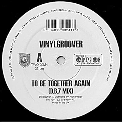 Vinylgroover / Sound Assassins / To Be Together Again (Remix) / Clearly Now