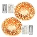 Ylife Fairy Lights Battery Operated, 16.4Ft 50 LED Waterproof Warm White String Lights with Remote, Decorative Copper Wire Mini Lights for Festival Party (2 Pack)