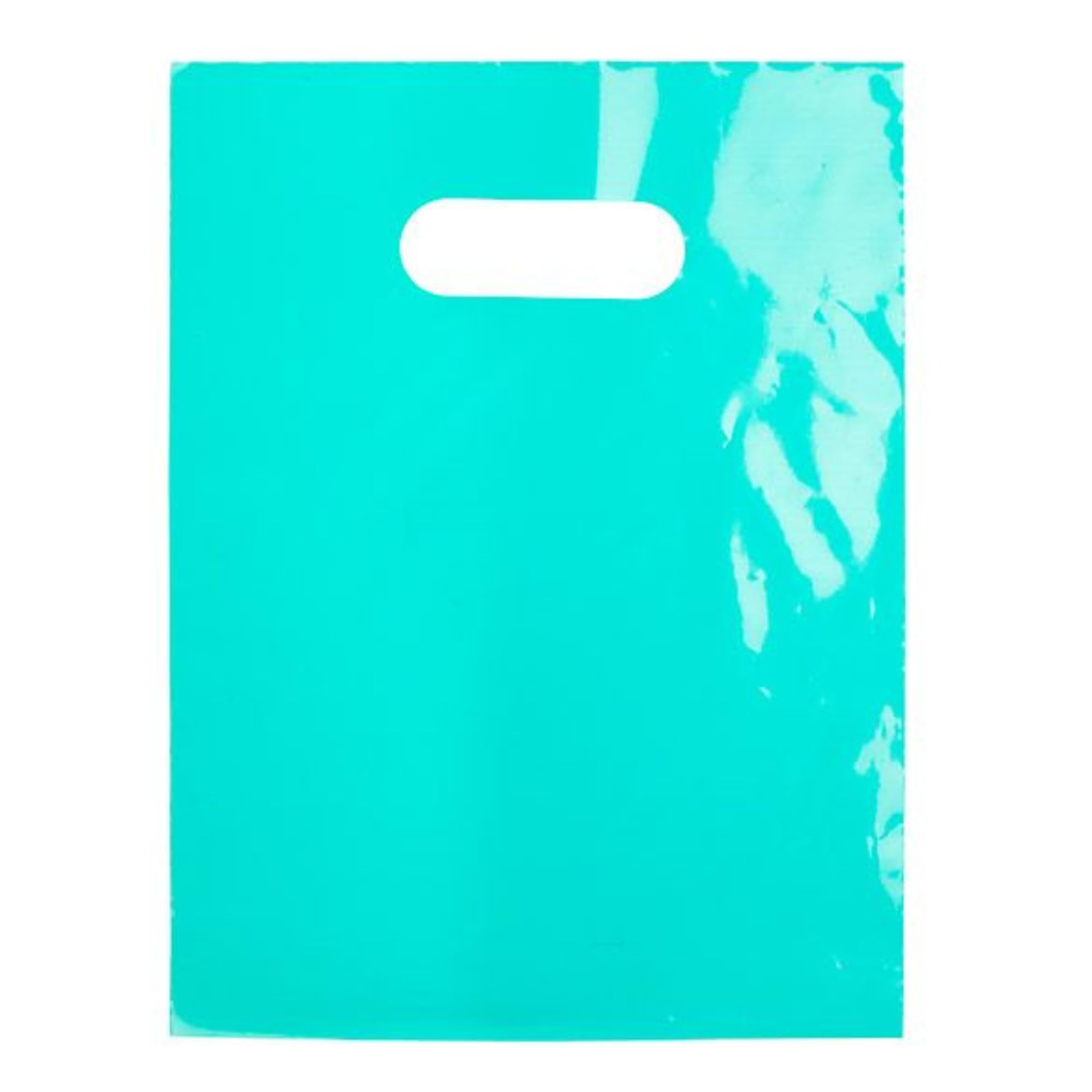ClearBags100 Teal Handle Bags, 9x12, Extra Thick 2.25 Mil Retail Plastic Shopping Merchandise Gift Bags Tear Resistant Strong Durable Anti Stretch For Small Business LDPE Die Cut