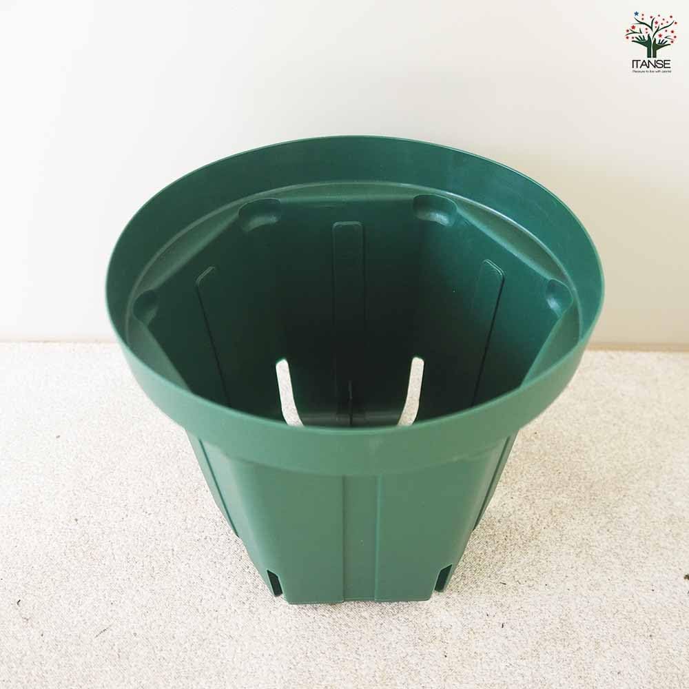 ☆美品☆ニコン NIKON AF-S DX NIKKOR 18-105mm F3.5-5.6 G ☆美品