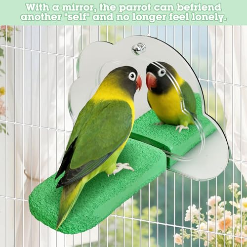 Image of PINVNBY 2 PCS Bird Mirror with Perch Resin Parakeet Perches Hanging Parrot Toys Interactive Bird Cage Accessories for Cockatiel Conure Lovebird Finch (Green)