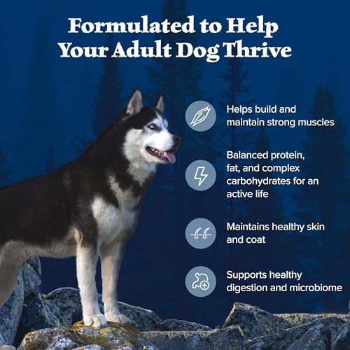 Blue Buffalo Wilderness Adult Hochprotein-Trockenfutter für Hunde mit echtem Huhn, getreidefrei, natürlichen Inhaltsstoffen, Huhn, 10,9 kg Beutel