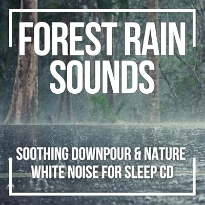 Forest Rain CD &ndash; Gentle Rainfall Sounds for Sleep, Focus & Meditation &ndash; 1 Hour Pink Noise Audio