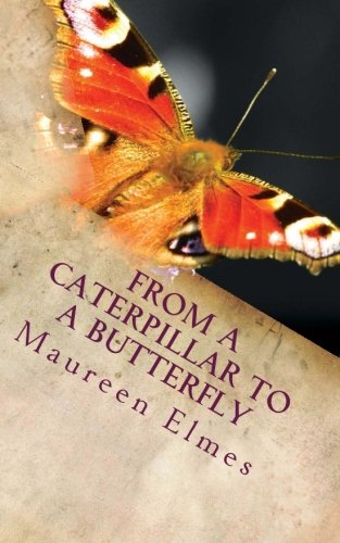 From a Caterpillar to a Butterfly: Stephen and Andy Elmes