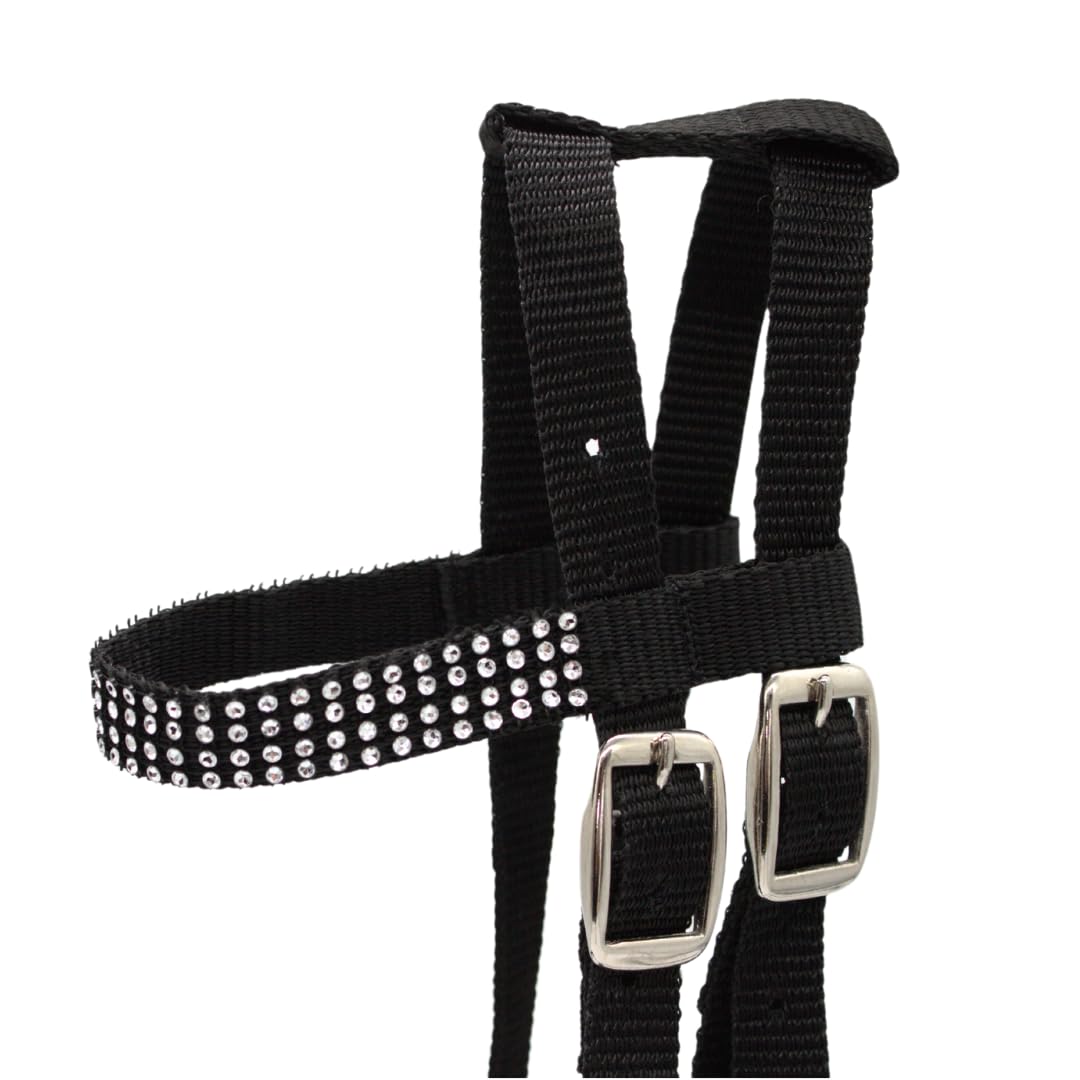 PFIFF- Briglia, Colore Nero, 103126