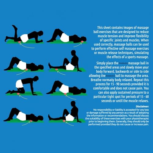 Image of Bodylastics Lacrosse Massage Ball for Muscle Recovery Trigger Point Therapy Ball for Myofascial Release, Deep Tissue Massage, Pain Relief, Mobility Tool for Back, Feet, Neck, Yoga, and Gym