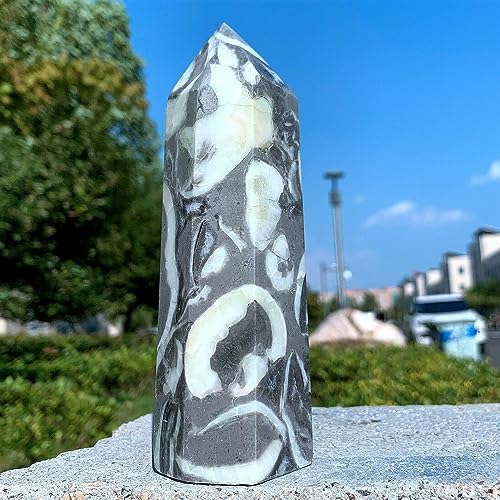 Columna de jaspe concha de 450g para decoracion de hogar y oficina 4