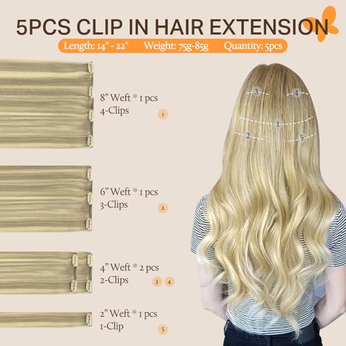 Image of DOORES Human Hair Extensions Clip in, 5pcs 75g Balayage Light Blonde Highlighted Golden Blonde 16 Inch Clip in Hair Extensions Natural Hair Extensions Straight