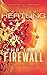 The Last Firewall (Singularity Series Book 3)