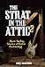 The Strat in the Attic 2: More Thrilling Stories of Guitar Archaeology