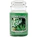 Village Candle Eucalyptus Mint 26 oz Glass Jar Scented Candle, Large