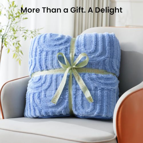 Image of Drewin Weighted Blanket for Adults Queen Size 15lbs, Soft Cozy Turtleback Sherpa Weighted Blankets for Sleeping and Calming, Thick Bed Blanket for Couch Bed, 60 x 80 inches, Sky Blue